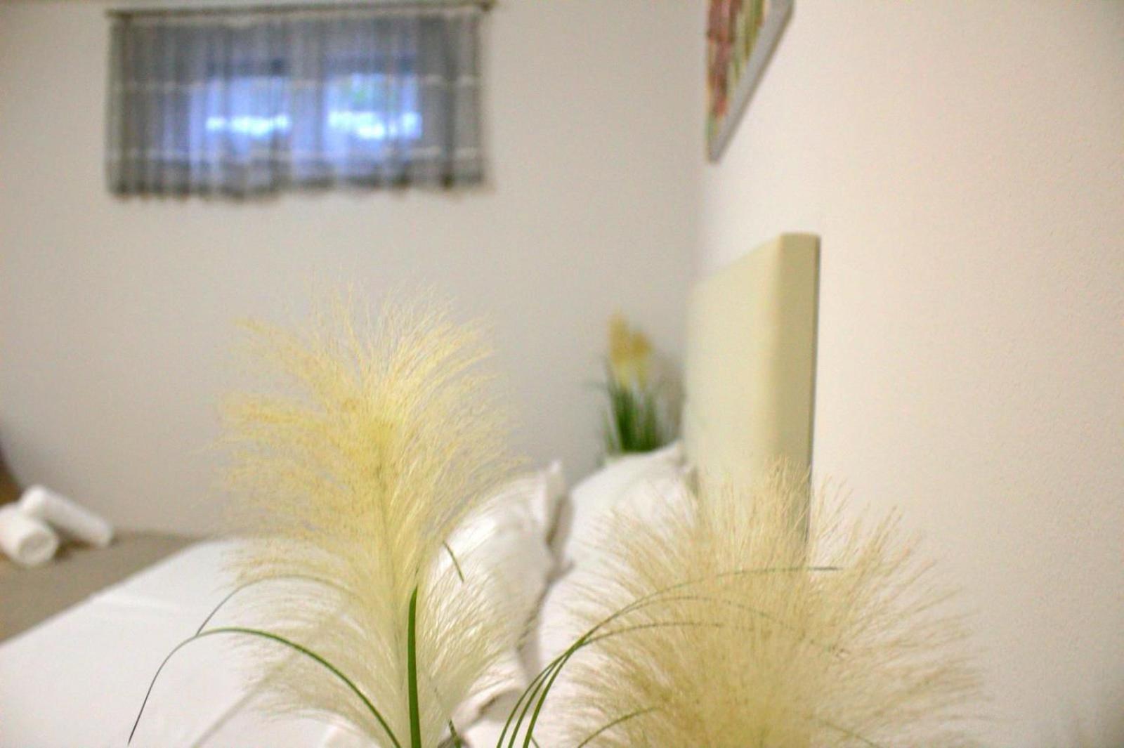 Apartment Danijela Zadar Eksteriør bilde